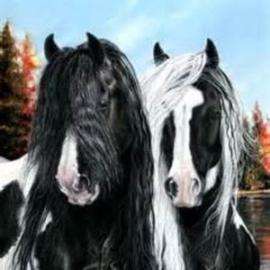 Meet your Posher, Sherry